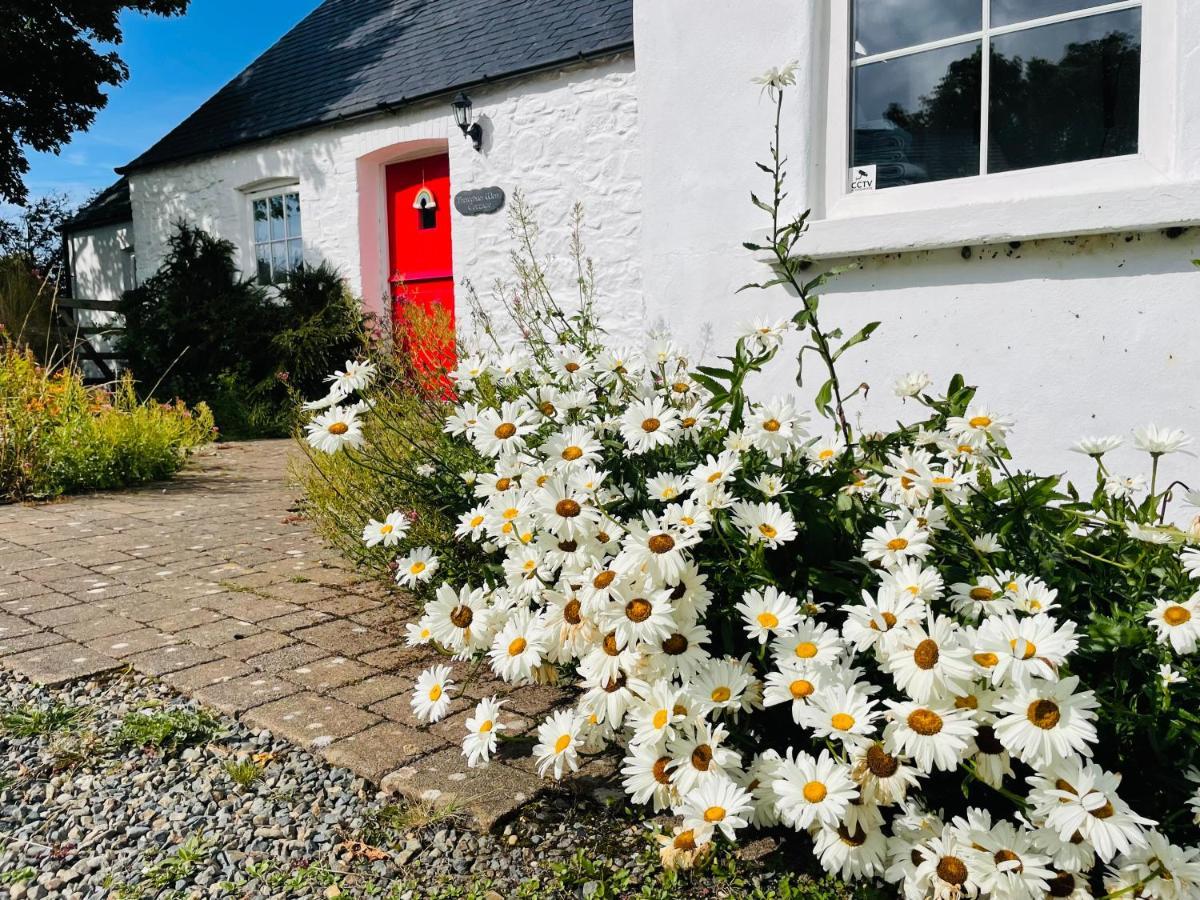 The Dairy @ Trefechan Wen Goodwick Bagian luar foto